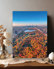 Cuadro Central Park NY - Fine Art Edition