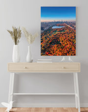 Cuadro Central Park NY - Fine Art Edition