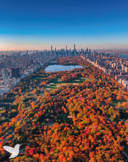 Cuadro Central Park NY - Fine Art Edition