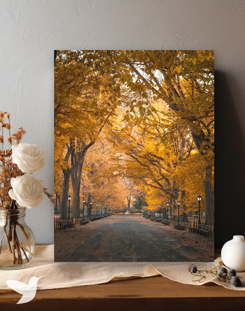 Oasis en la Gran Manzana - Central Park Edition