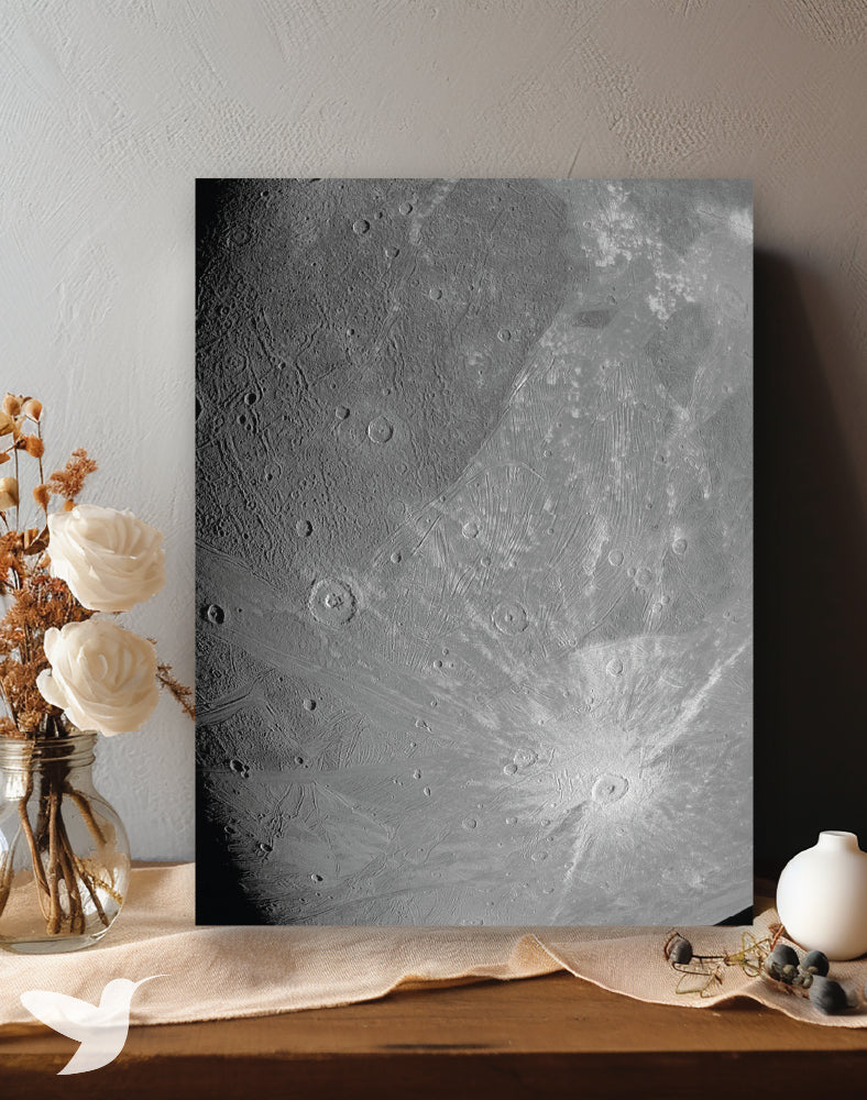 Cuadro Cráteres Eternos - Lunar Surface Edition