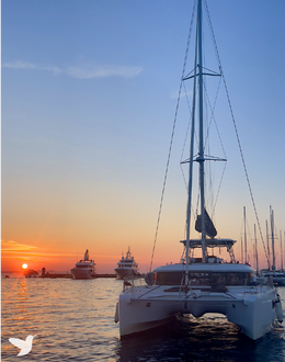 Cuadro Espuma de Sal